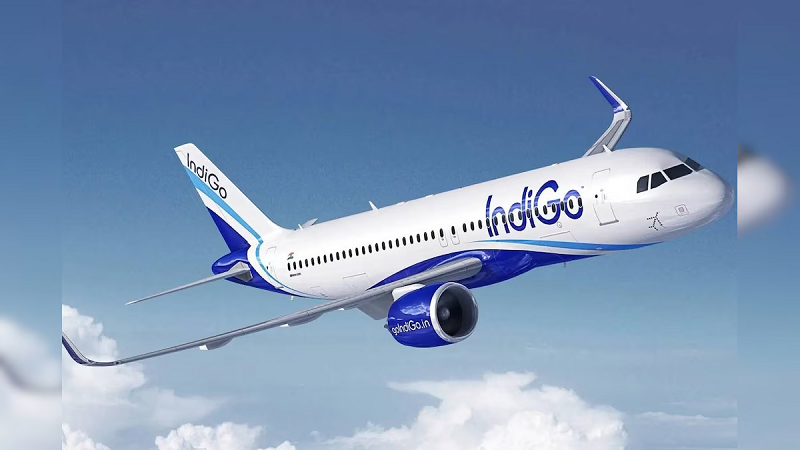 6-indigo-1-1765008593
