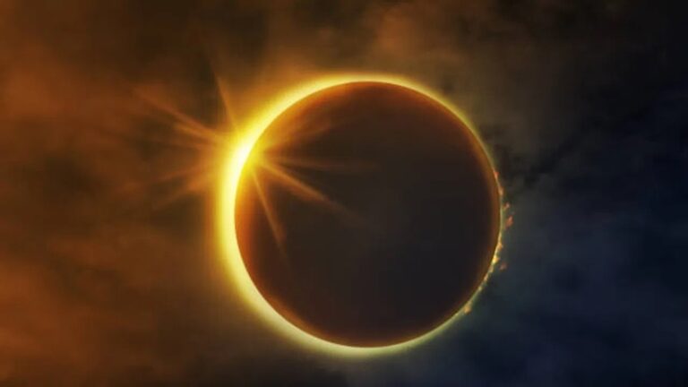 photo5-1-1785903948