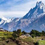 tangal-1787851445