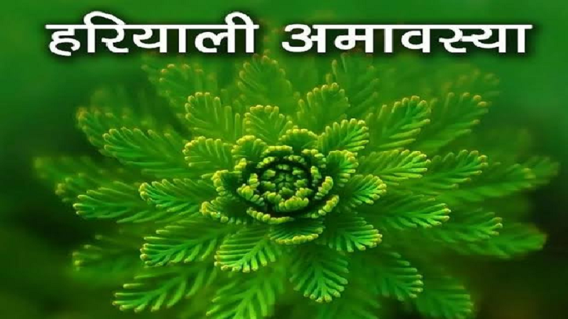 untitled-1786168148
